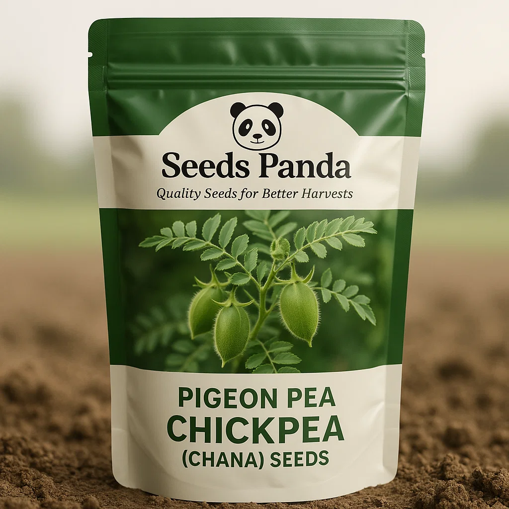 Pigeon Pea Chickpea (Chana) Seeds