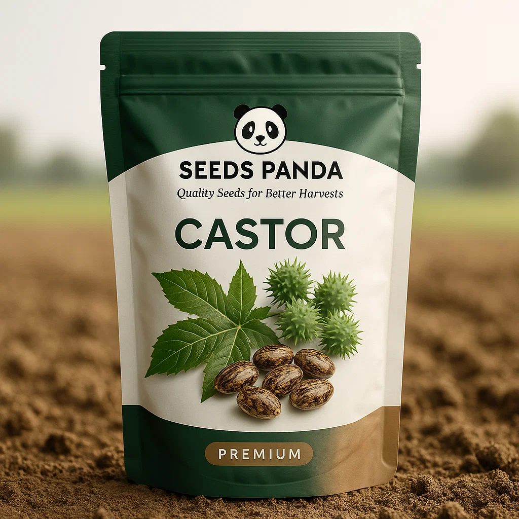 Castor