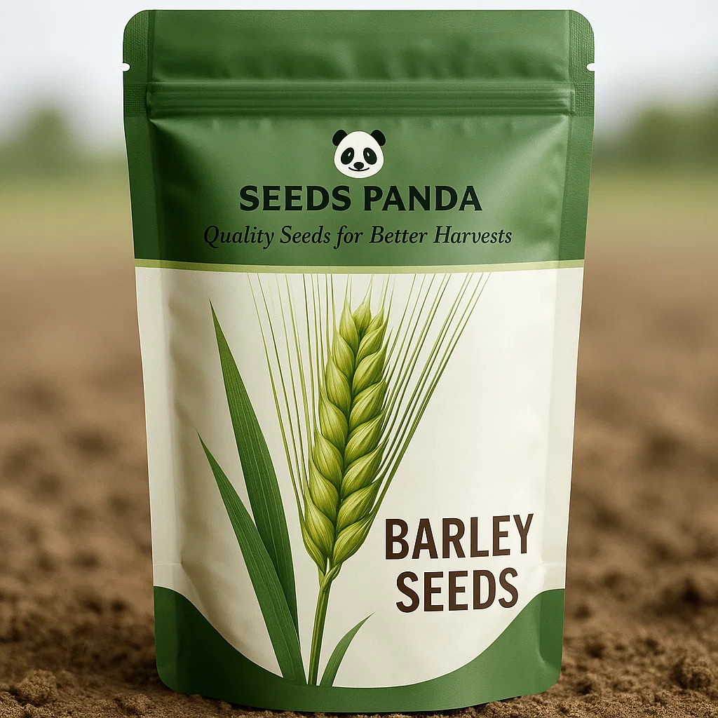 Barley Seeds