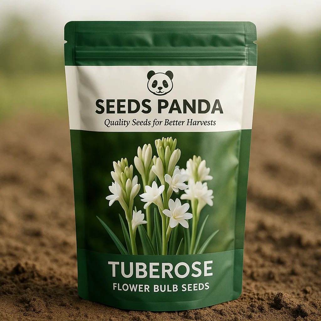 Tuberose Flower Blub Seeds